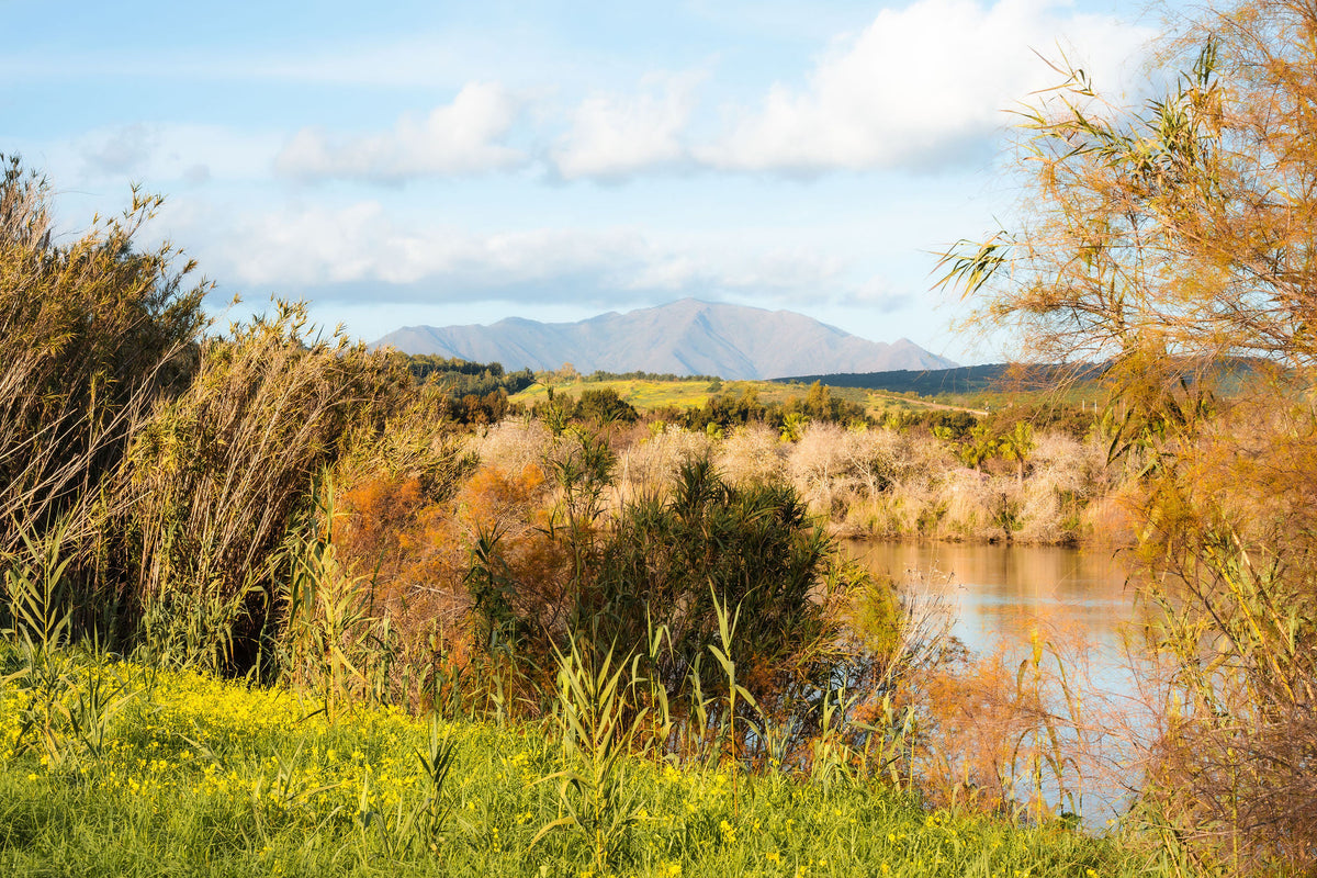 Spring by the River – signed fine art photograph by Andrew Scriven