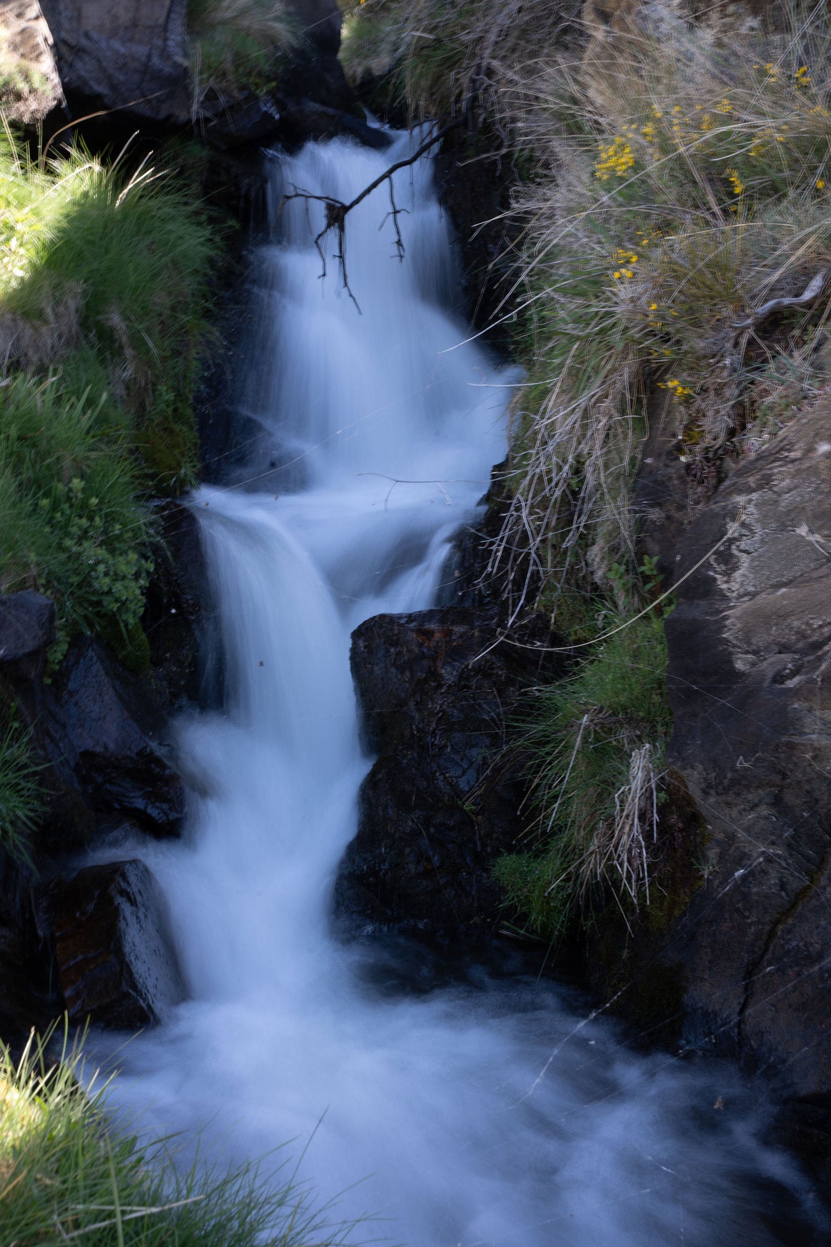 Mountain Stream – signed fine art photograph by Andrew Scriven