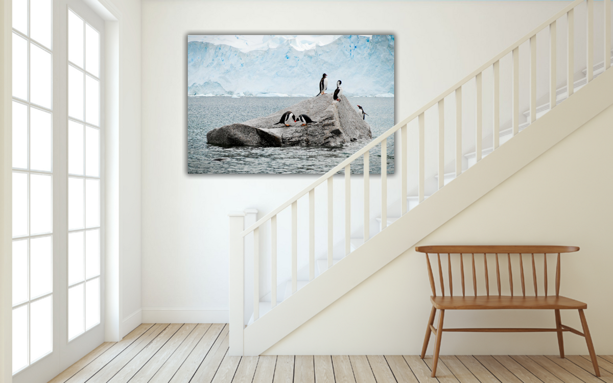Love in Antarctica – signed fine art photograph by Andrew Scriven