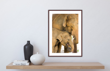 Load image into Gallery viewer, Smiling elephant calf
