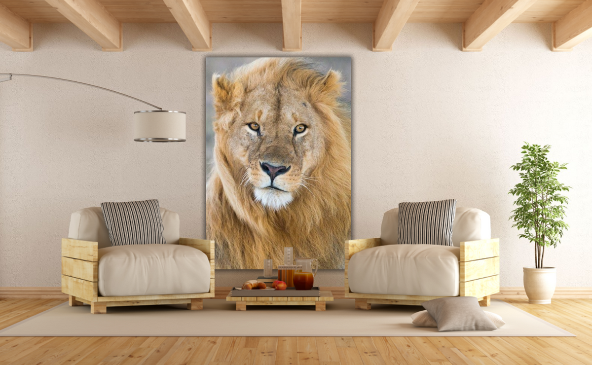 Eyes close on You – signed fine art photograph by Andrew Scriven