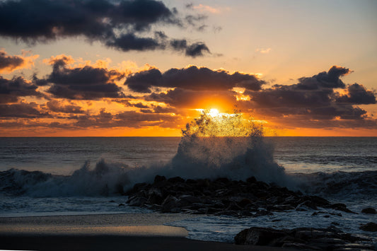 Golden Burst – signed fine art photograph by Andrew Scriven