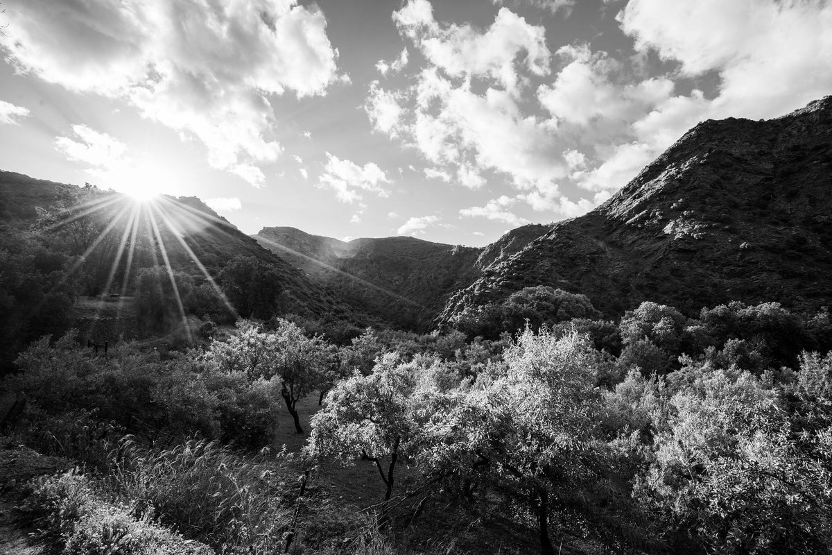 Morning Breaks over the Valley – signed fine art photograph by Andrew Scriven