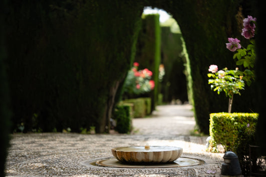 Through the Cypress Arch – signed fine art photograph by Andrew Scriven