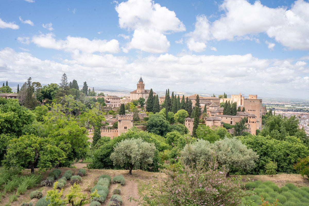 The Alhambra in Spring – signed fine art photograph by Andrew Scriven