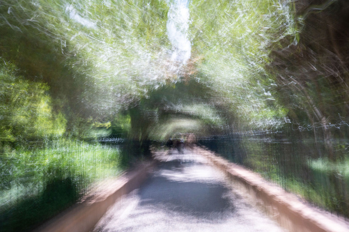 The Path Through the Trees – signed fine art photograph by Andrew Scriven