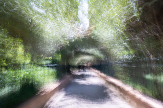 The Path Through the Trees – signed fine art photograph by Andrew Scriven