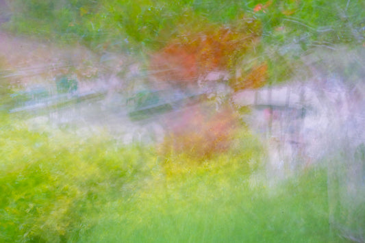 Garden Dream – signed fine art photograph by Andrew Scriven