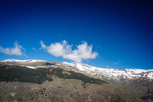 Snow on the Sierra Nevada – signed fine art photograph by Andrew Scriven