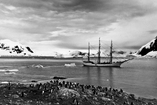 5 more minutes then back on the boat! – signed fine art photograph by Andrew Scriven