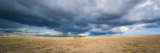 Cloudy panoramic over the Serengeti – signed fine art photograph by Andrew Scriven
