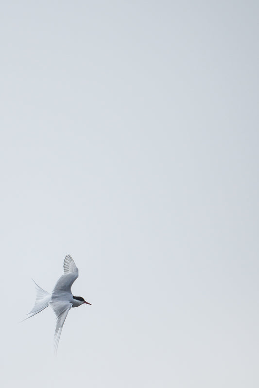 The Sky's The Limit – signed fine art photograph by Andrew Scriven