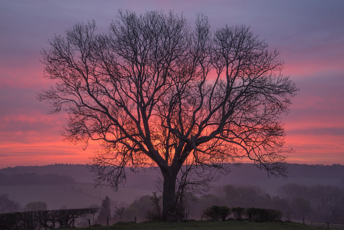 Sunrise offers hope – large canvas by Andrew Scriven