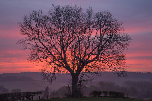 Sunrise offers hope – large canvas by Andrew Scriven