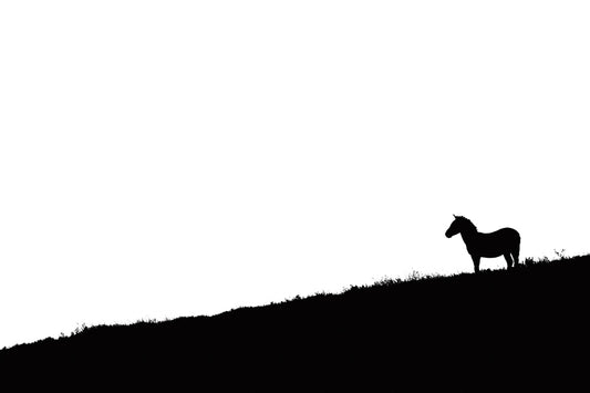 Silhouette – signed fine art photograph by Andrew Scriven