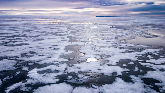 Sea ice – signed fine art photograph by Andrew Scriven