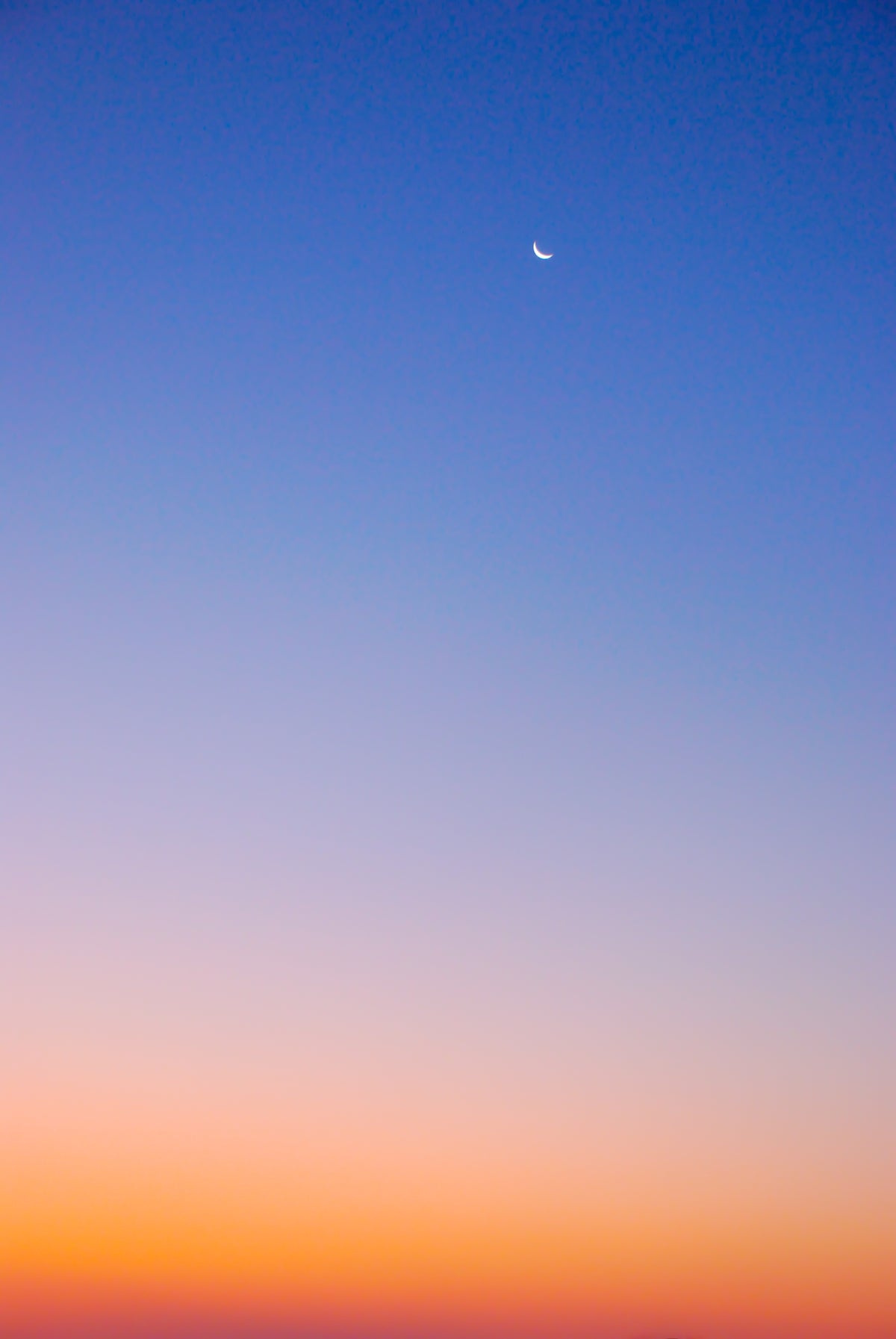 i love you to the moon and back – large canvas by Andrew Scriven