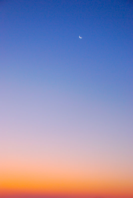 i love you to the moon and back – large canvas by Andrew Scriven