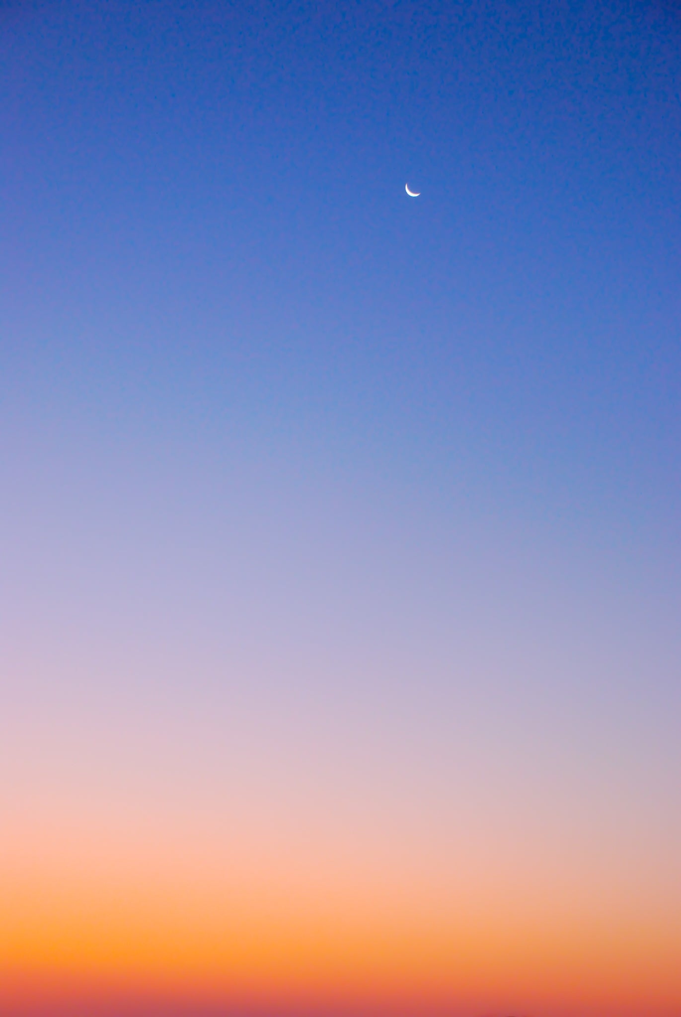i love you to the moon and back