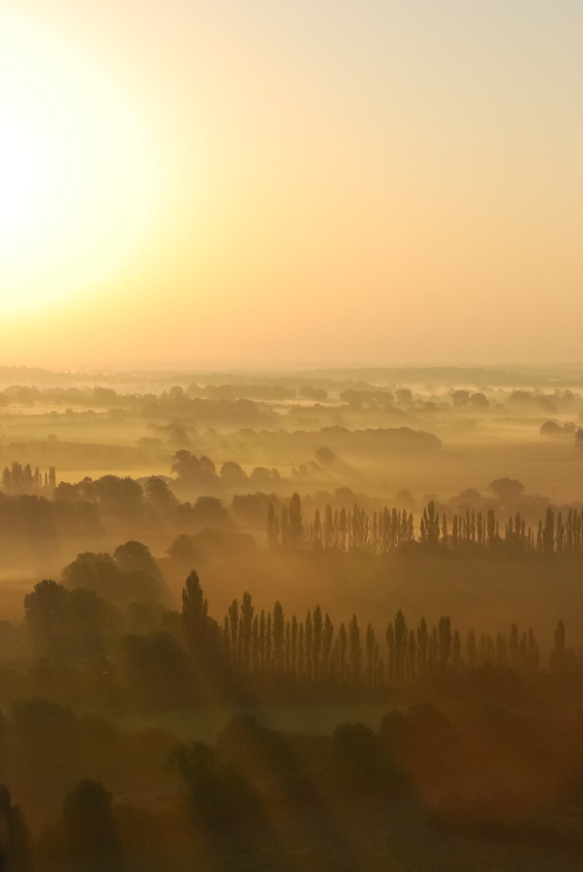 Fields of Gold 2 – signed fine art photograph by Andrew Scriven
