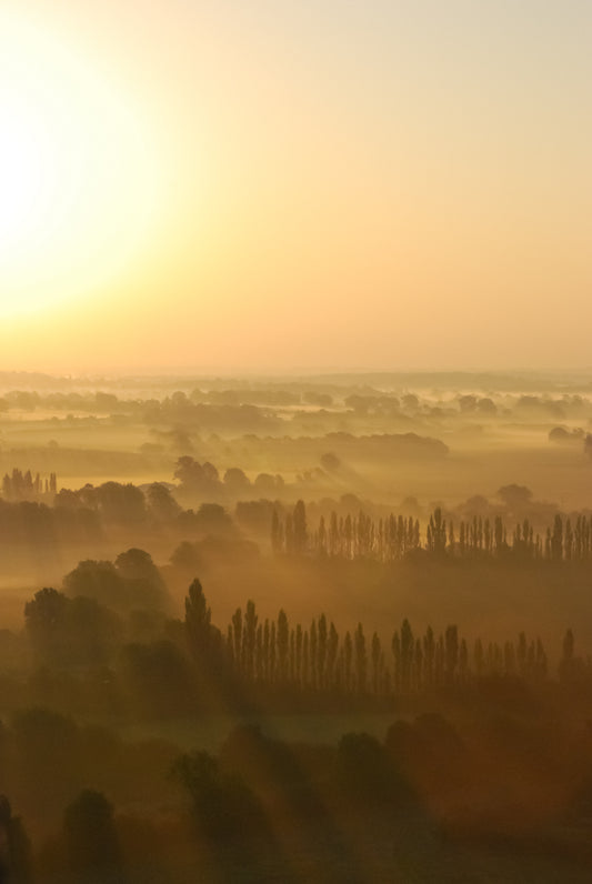 Fields of Gold 2 – signed fine art photograph by Andrew Scriven