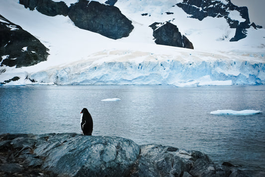 Time away to reflect – signed fine art photograph by Andrew Scriven