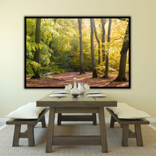 Load image into Gallery viewer, Walk to Tranquility
