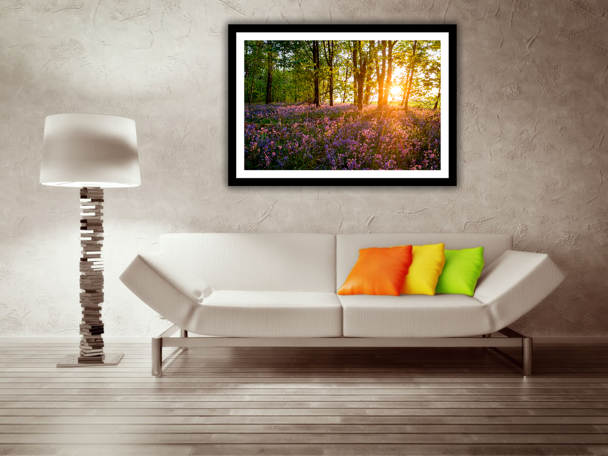 Sunrise through the woods – signed fine art photograph by Andrew Scriven