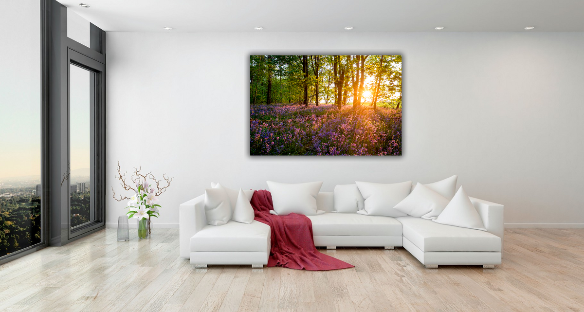 Sunrise through the woods – signed fine art photograph by Andrew Scriven