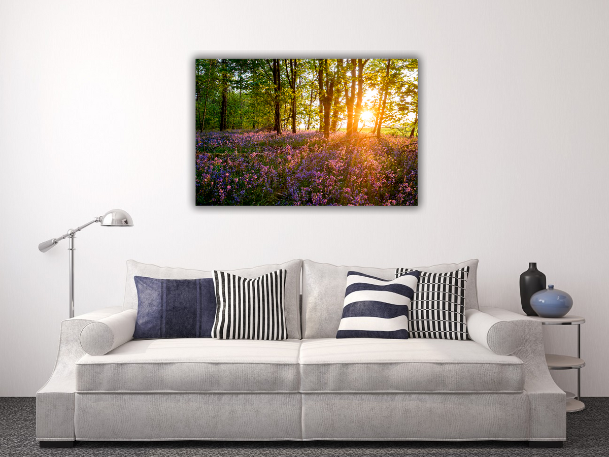 Sunrise through the woods – signed fine art photograph by Andrew Scriven