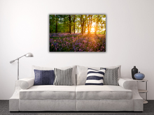 Load image into Gallery viewer, Sunrise through the woods
