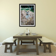 Load image into Gallery viewer, A regal view
