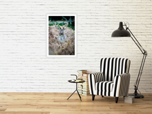 Load image into Gallery viewer, A regal view
