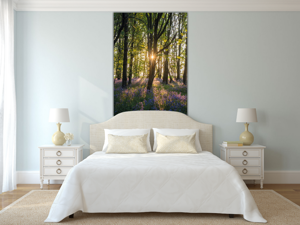 Sunrise into the bluebell woodlands – large canvas by Andrew Scriven