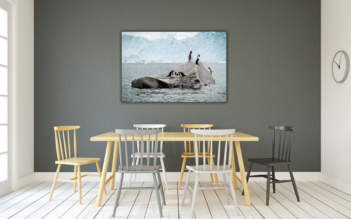 Love in Antarctica – signed fine art photograph by Andrew Scriven