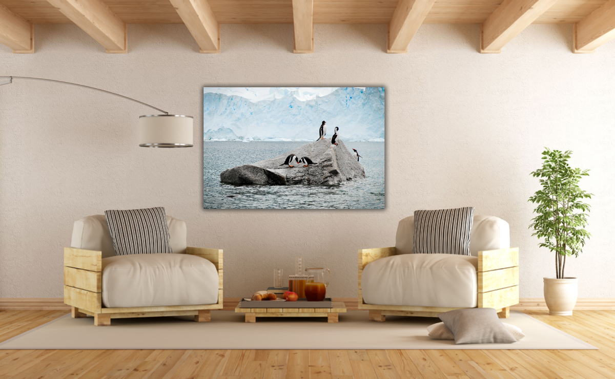 Love in Antarctica – signed fine art photograph by Andrew Scriven