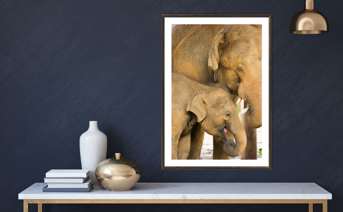 Joy Asks for Nothing – large canvas by Andrew Scriven