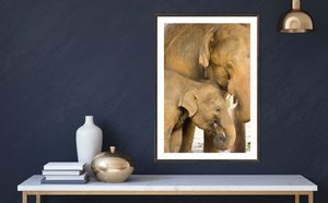 Smiling elephant calf