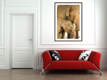 Load image into Gallery viewer, Smiling elephant calf
