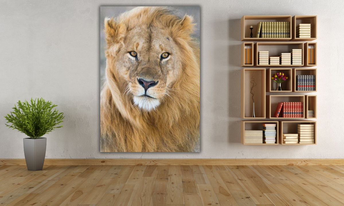 Eyes close on You – signed fine art photograph by Andrew Scriven