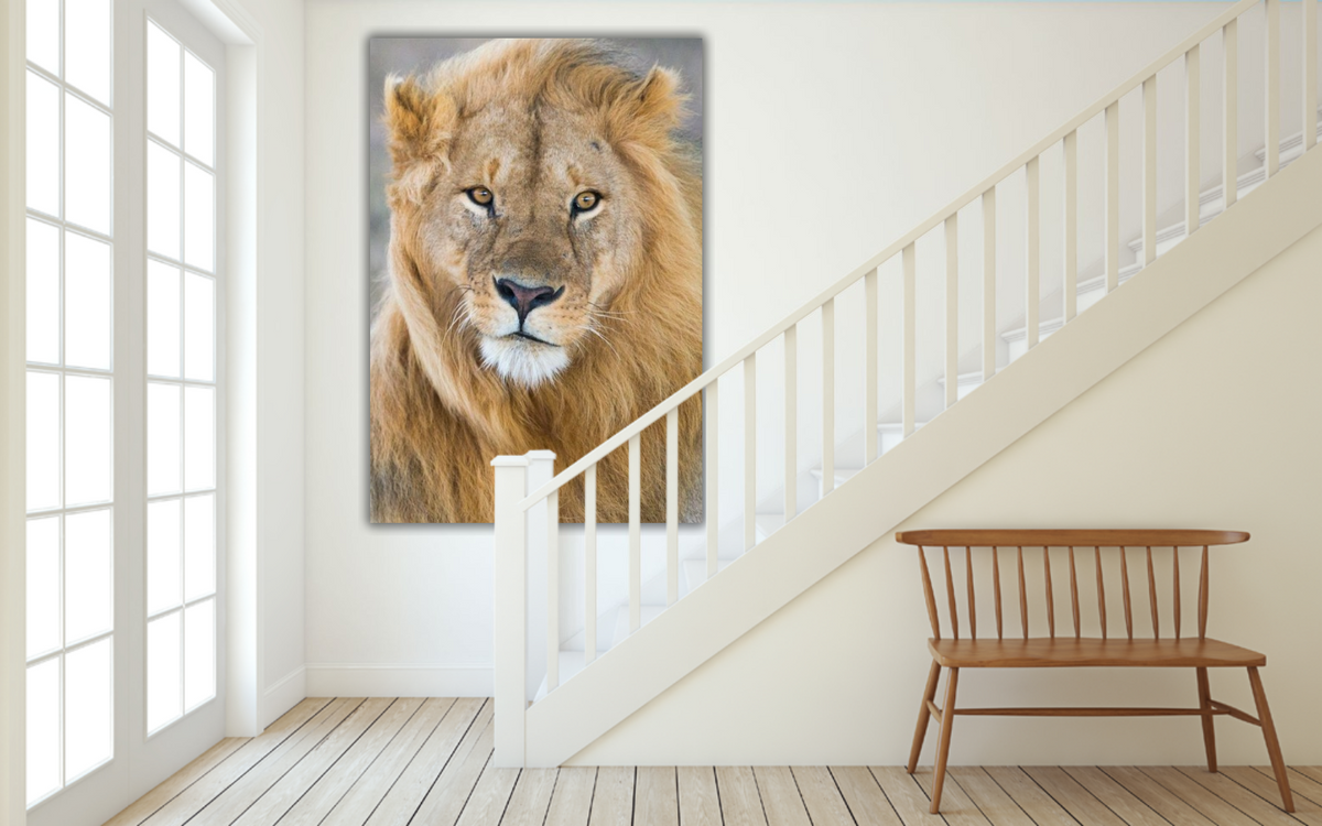 Eyes close on You – large canvas by Andrew Scriven
