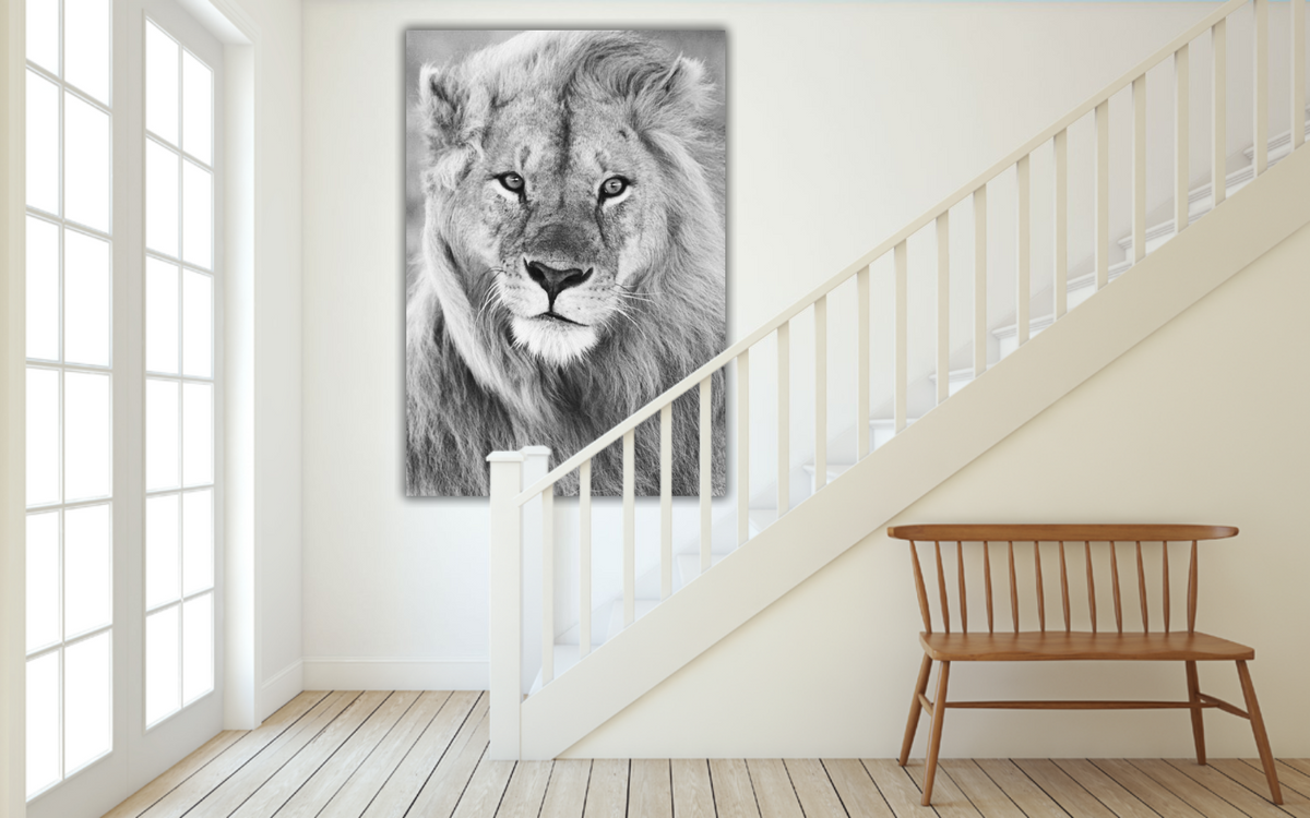 i see you – large canvas by Andrew Scriven