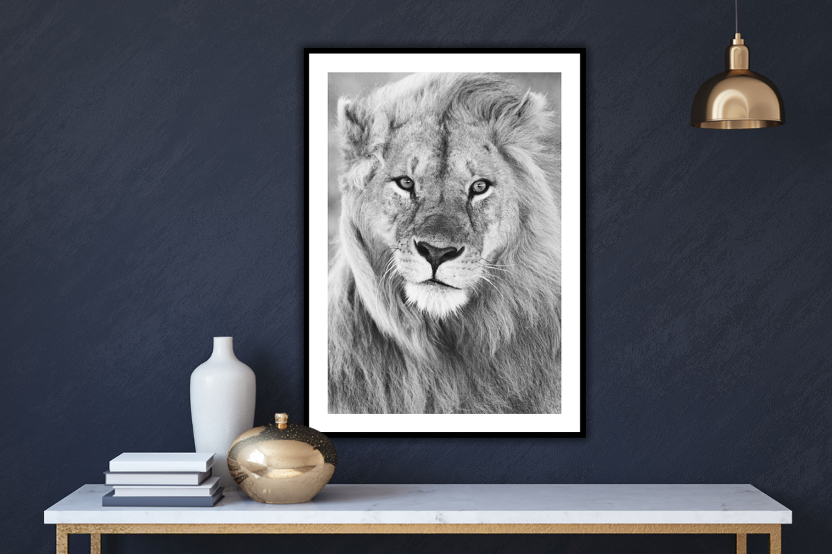i see you – signed fine art photograph by Andrew Scriven
