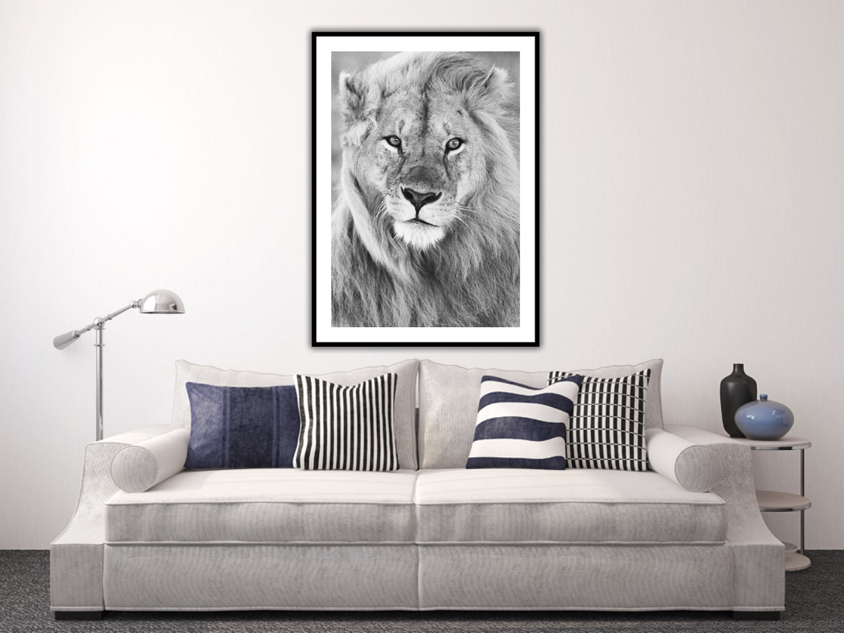 i see you – signed fine art photograph by Andrew Scriven